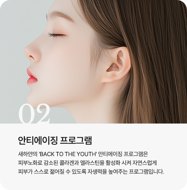 안티에이징 프로그램